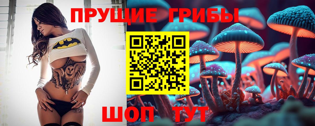 Нижний Новгород  Галлюциногенные грибы Magic Shrooms  Вход с VPN  где купить   Псилоцибиновые грибы MAGIC MUSHROOMS 