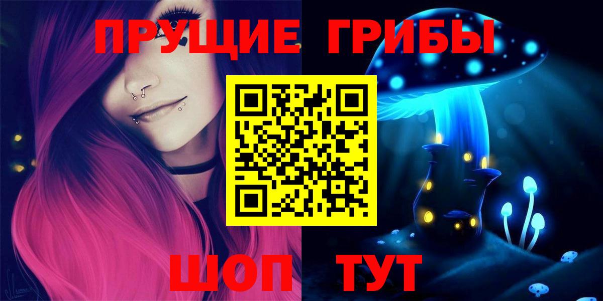 Псилоцибиновые грибы Psilocybe Нижний Новгород